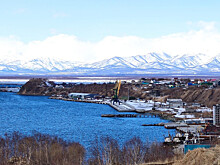 Морские обитатели снова массово гибнут на Камчатке