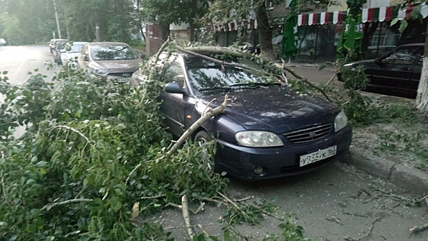 В Самаре на припаркованную иномарку упало дерево