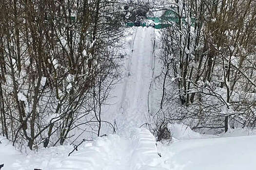 В Мордовии обрушился мост через реку Инсарка