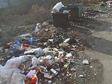 Благовещенских предпринимателей обвинили в образовании свалки