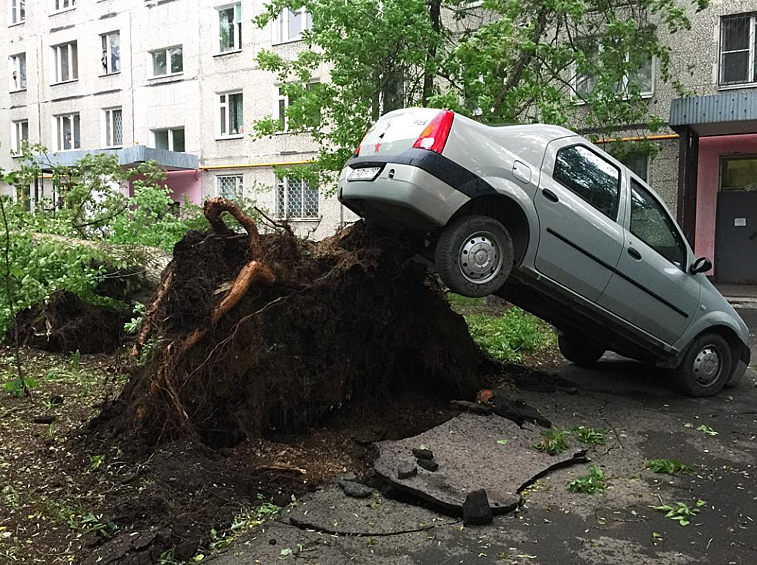 В настоящее время в столице бушует гроза, скорость ветра местами составляет 18 метров в секунду. Последствия урагана в Москве — в нашей фотогалерее