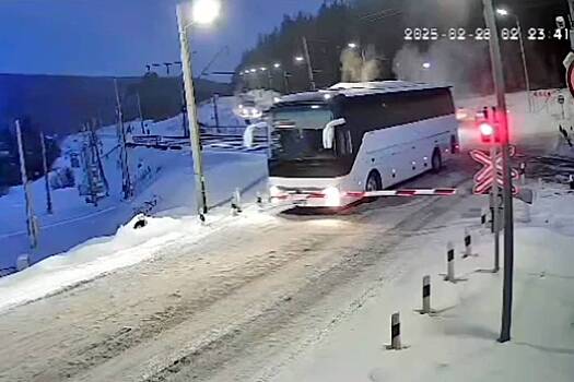 В России водитель остановил автобус на пути перед мчавшимся поездом и попал на видео