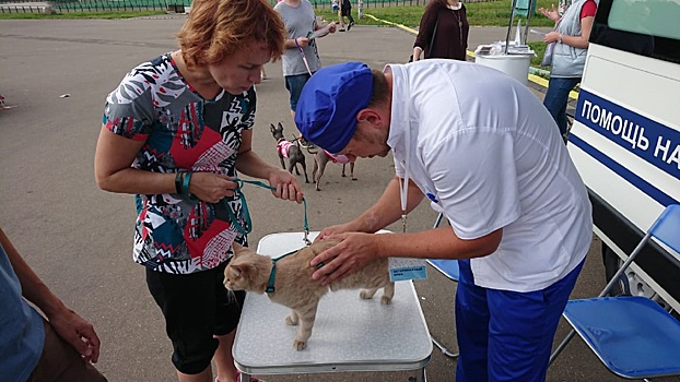 Здоровье более тысячи домашних животных проверили ветеринары в столичных парках 31 августа