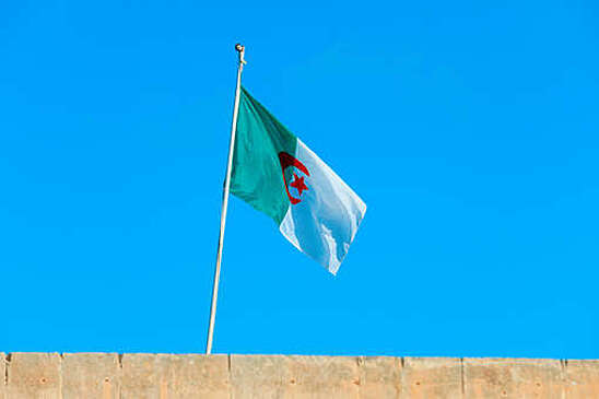 Президент Алжира рассказал о запланированном визите в РФ