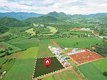 Будет совершенно бесплатно. За внесение в реестр дачники получат маленький «бонус»