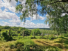 На особо охраняемые природные территории предложили распространить «лесную амнистию»