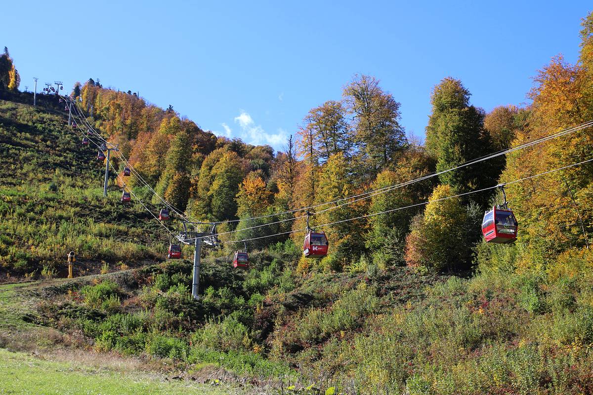 Число пострадавших в результате обрыва канатной дороги в Нальчике выросло