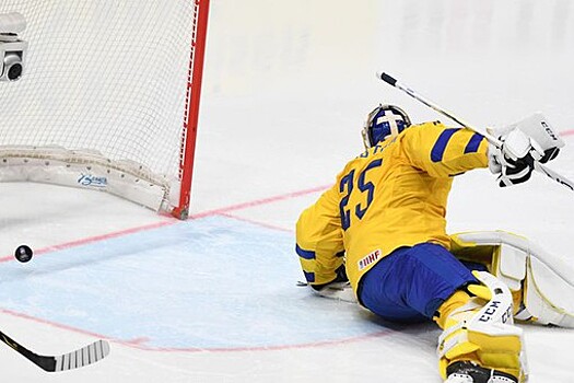 Сенсационная победа Беларуси в матче со Швецией. Видеообзор