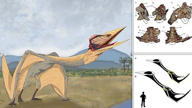 В Аргентине нашли останки древнего «дракона смерти»