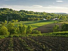 Порядок расчета аренды за государственный участок хотят упростить