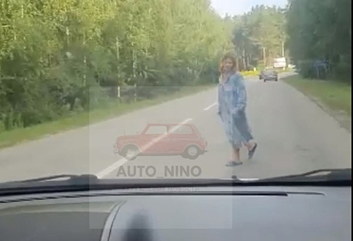 Нижегородские водители встретили «призрак невесты» на дороге