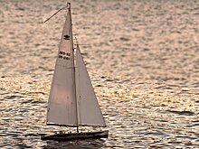 Ученые нашли научное объяснение феномену "мертвой воды"