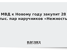 МВД закупит 28 тысяч пар наручников «Нежность»