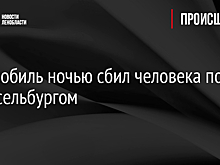 Автомобиль ночью сбил человека под Шлиссельбургом