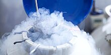 Новые технологии повысят качество замороженной конской спермы