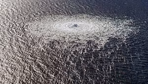 Суд Германии назвал заказчика диверсии на «Северных потоках»