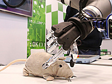 Насколько активно российские компании используют ИИ?