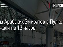 Рейс из Арабских Эмиратов в Пулково задержали на 12 часов
