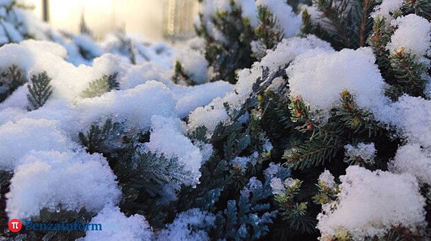 10 декабря в Пензенской области ожидается сильный ветер