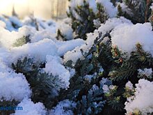 10 декабря в Пензенской области ожидается сильный ветер