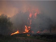 Назван самый опасный загрязнитель воздуха