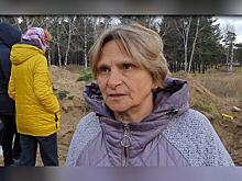 Прокуратура требует уволить главу Атамановки из-за незаконной продажи участков