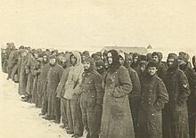 Представители каких стан попали в плен к Красной Армии во время Великой Отечественной