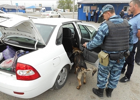 Проверка с Драйвом: костромичи задержали наркодилера в Чечне