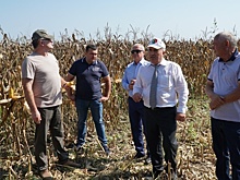 Минсельхозпрод Дагестана провел практический семинар по выращиванию кукурузы