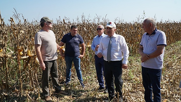 Минсельхозпрод Дагестана провел практический семинар по выращиванию кукурузы