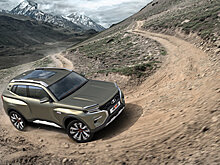 Дюжину собак запрягли тянуть «Ниву»