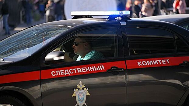 СК назвал обыски у журналистки-инвалида из Ставрополья законными