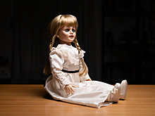 В Ульяновске раскрыта серия краж детских игрушек на 70 тысяч рублей