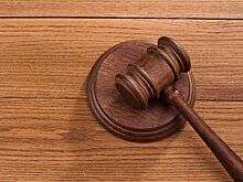 Юрист предложил судить блогеров-лихачей