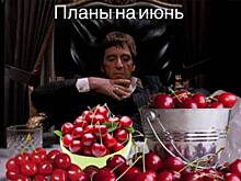 Самые смешные мемы недели: шутки из соцсетей