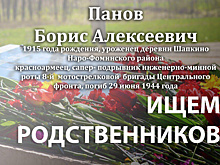Родственников погибшего красноармейца Бориса Панова ищут в Наро-Фоминском округе