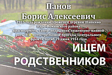 Родственников погибшего красноармейца Бориса Панова ищут в Наро-Фоминском округе