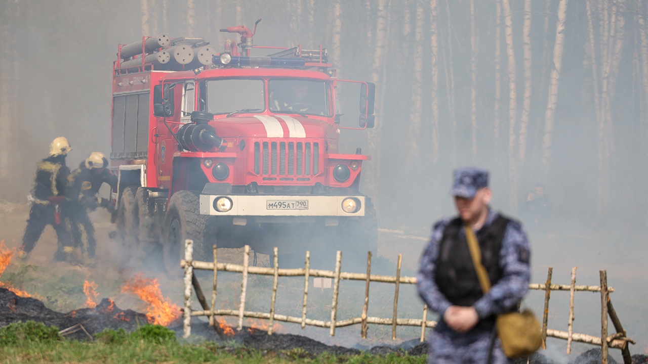 За сутки в России потушили 46 лесных пожаров