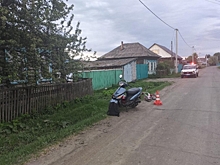В Омской области подросток на мопеде сбил четырехлетнего мальчика