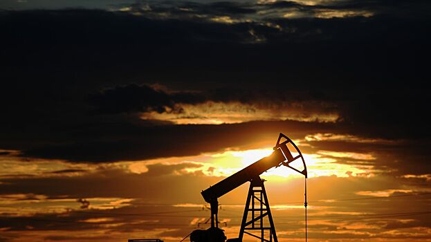 В США высказались о закупках российской нефти Индией