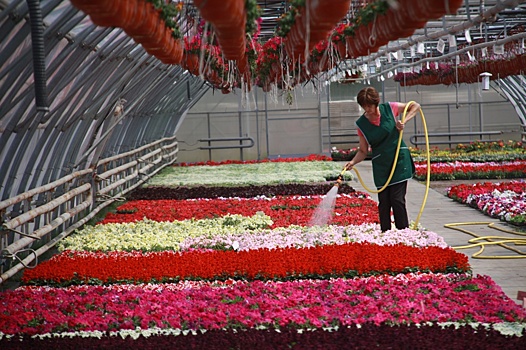 Итоги программы озеленения деревни за 2018 год подвели в Яковлевском