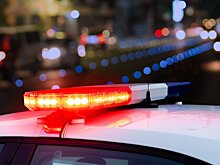 NYP: в Мексике пропавшие на каникулах студенты найдены расчлененными