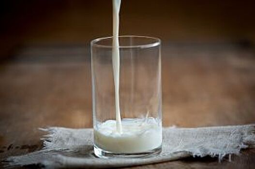 Молочное производство за 924 млн рублей может появиться в Уфе