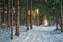 В Ижевске рассказали о состоянии здоровья найденного замерзшим в лесу мальчика