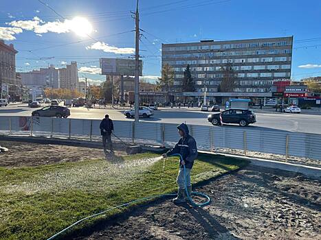 В Новосибирске на месте установки стелы «Город трудовой доблести» начали работы по озеленению