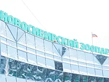 В Новосибирском зоопарке поселят карликовых бегемотов из Таиланда