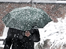 Жителей Москвы предупредили о мокром снеге и дожде