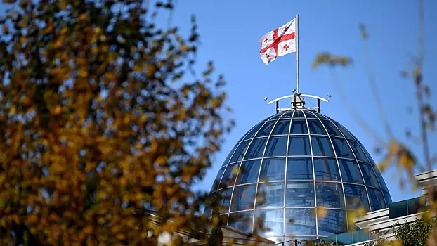 В Грузии раскрыли коварный план Зеленского против РФ