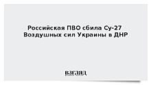 Минобороны: Российская ПВО сбила Су-27 Воздушных сил Украины в ДНР