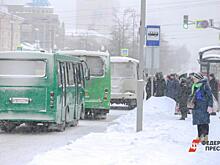 На Среднем Урале из-за антиваксеров дети ходят в школу 2,5 км по замерзшей реке